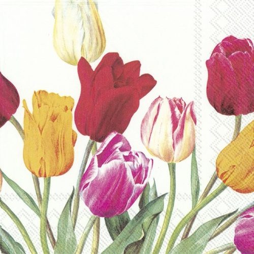 Dekorszalvéta, fehér, színes tulipánok 33x33cm-Tulips White