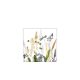 Dekorszalvéta 25x25cm, 20db-os, fehér, díszvirágokkal, szitakötővel--Ornamental Flowers White 