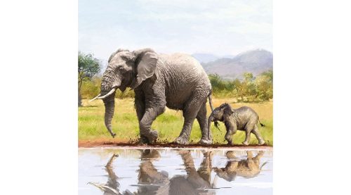 Dekorszalvéta 33x33cm, 20db-os-Elephant