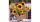 Papírszalvéta 33x33cm, 20db-os-Sunflower Bouquet