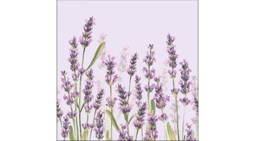 Papírszalvéta 33x33cm,20db-os, lila, levendulás-Lavender Shade 