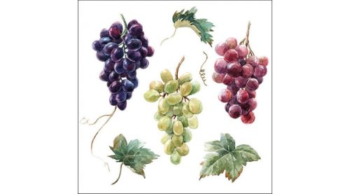 Dekor szalvéta 33x33cm, 20db-os- Wine grapes 