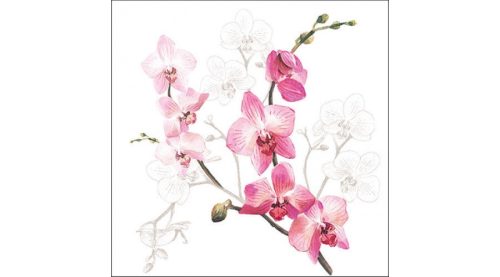 Papírszalvéta, háromrétegű, 33x33cm, 20db-os orchideás- Szalvéták és papír terítékkiegészítők-Orchid