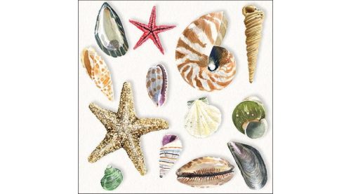 Dekor szalvéta, fehér, kagylók a tengerparton, 33x33cm, 20db-os -Shells 