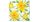 Dekorszalvéta 25x25cm,20-db-os - Daffodils in Bloom  
