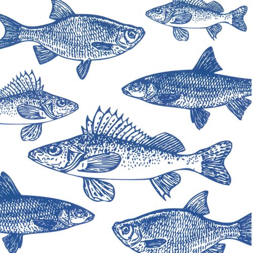 Papírszalvéta 33x33cm, 20db-os, kék rajzolt halak-Graphic Fishes marine 