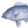 Dekorszalvéta tengeri hal 33x33cm, fehér-kék-Fish marine